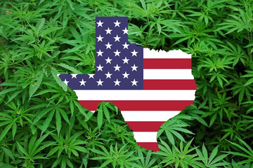 Map of Texas with marijuana leaves, highlighting the current 2024 legal status of weed and ongoing changes in marijuana laws.