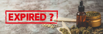 Does Weed Expire? Understanding Cannabis Shelf Life & Potency