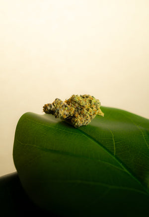 CBD 101: The Calm, Clear Side of Cannabis