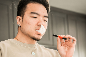 The DART Is Not a Pipe. It Is a Dry Herb System.