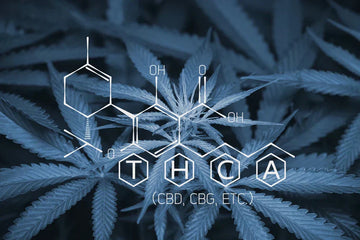What is THCa? The Complete Guide to Cannabis's Hidden Gem