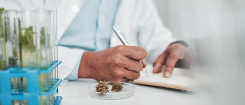 5 Clinical Studies Showing the Benefits of Microdosing THC