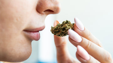 How to Hide the Smell of Weed : Expert Tips