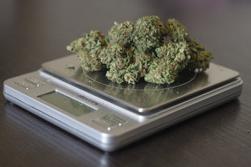 weed measurements on scale
