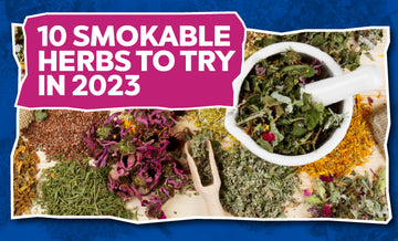smokable herbs to try in 2023