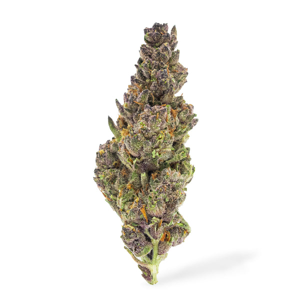 Tropicana Cherry