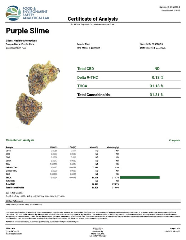 Purple Slime